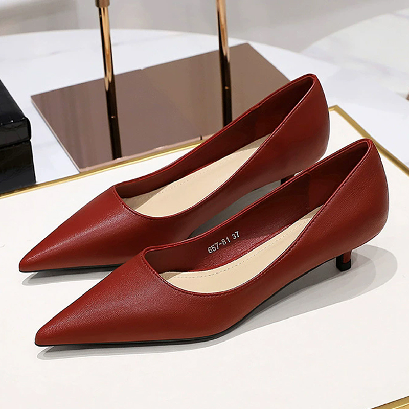 Fashion Pointed Toe Mid Heeled - Shoe Tree review and price
